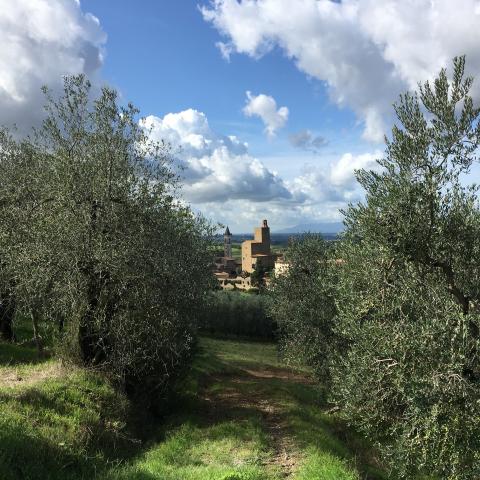 Vista dalla collina Poggio Marradino