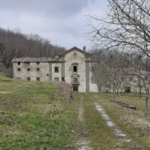 Badia di Buonsollazzo