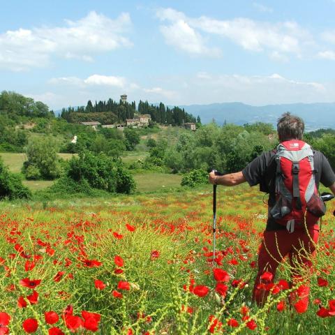 In vista del Trebbio