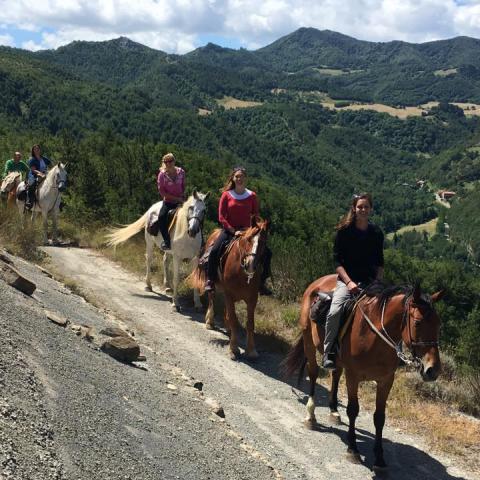 passeggiata a cavallo 