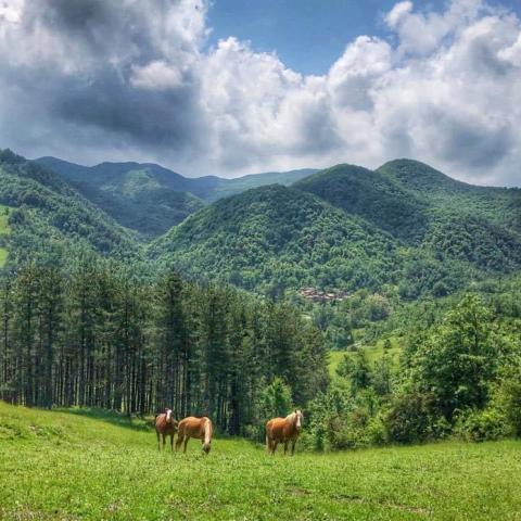 paesaggio appenninico