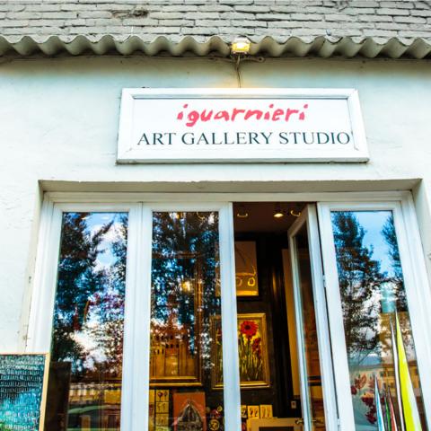 Art Gallery Studio Iguarnieri