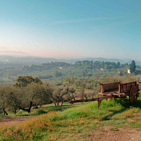 Vista sulla campagna fiesolana