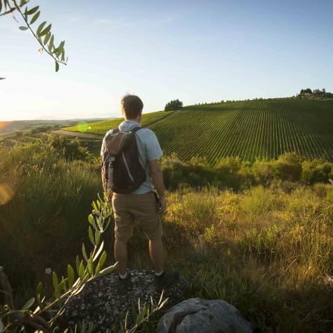 Trekking a Badia a Passignano - Foto Visit Chianti