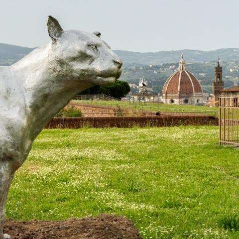 News Nico Vascellari at Forte Belvedere