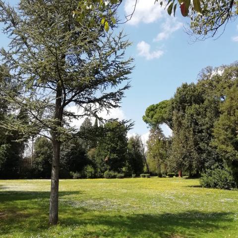 Parco di Villa Solaria