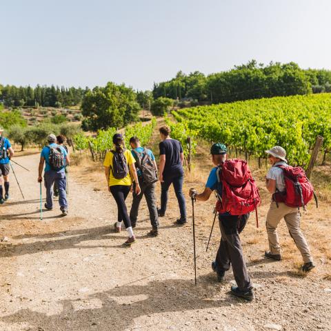 Esperienze nel Chianti