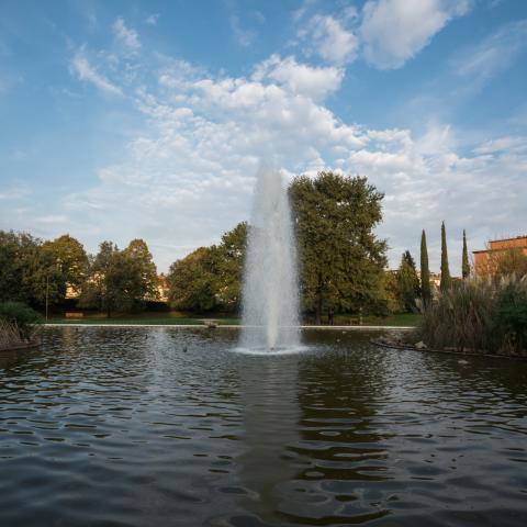 La vasca