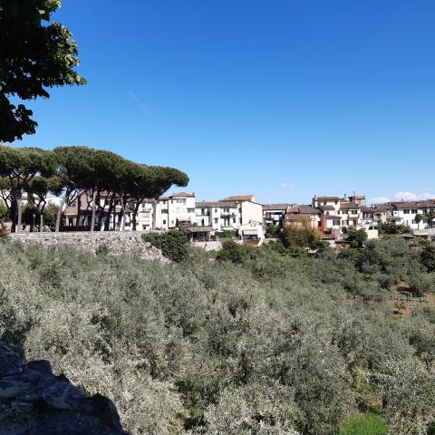 Panorama San Casciano Val di Pesa