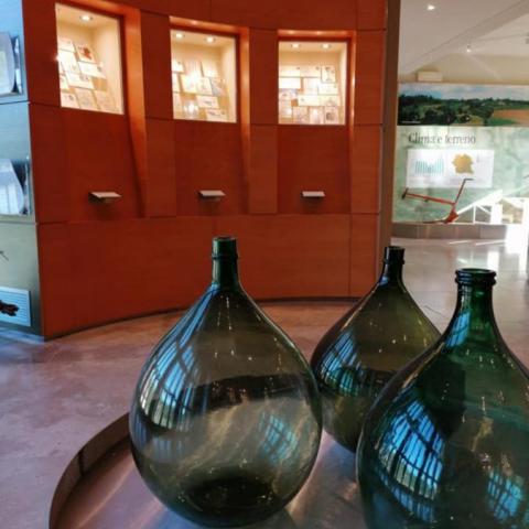 Centro per la Cultura del Vino I Lecci