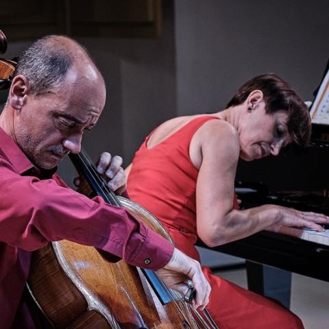 Provenzani e Barbini