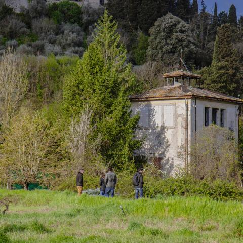 il parco